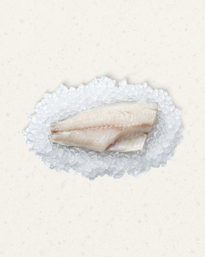 Frozen Toothfish Fillet - Skin-on