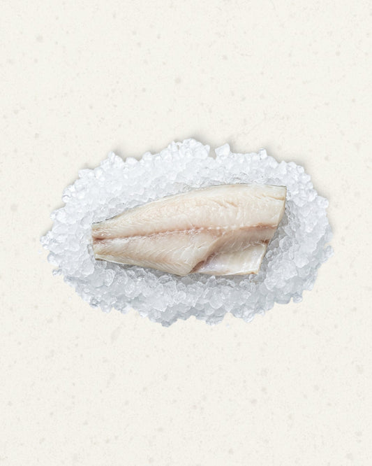 Frozen Toothfish Fillet - Skin-on
