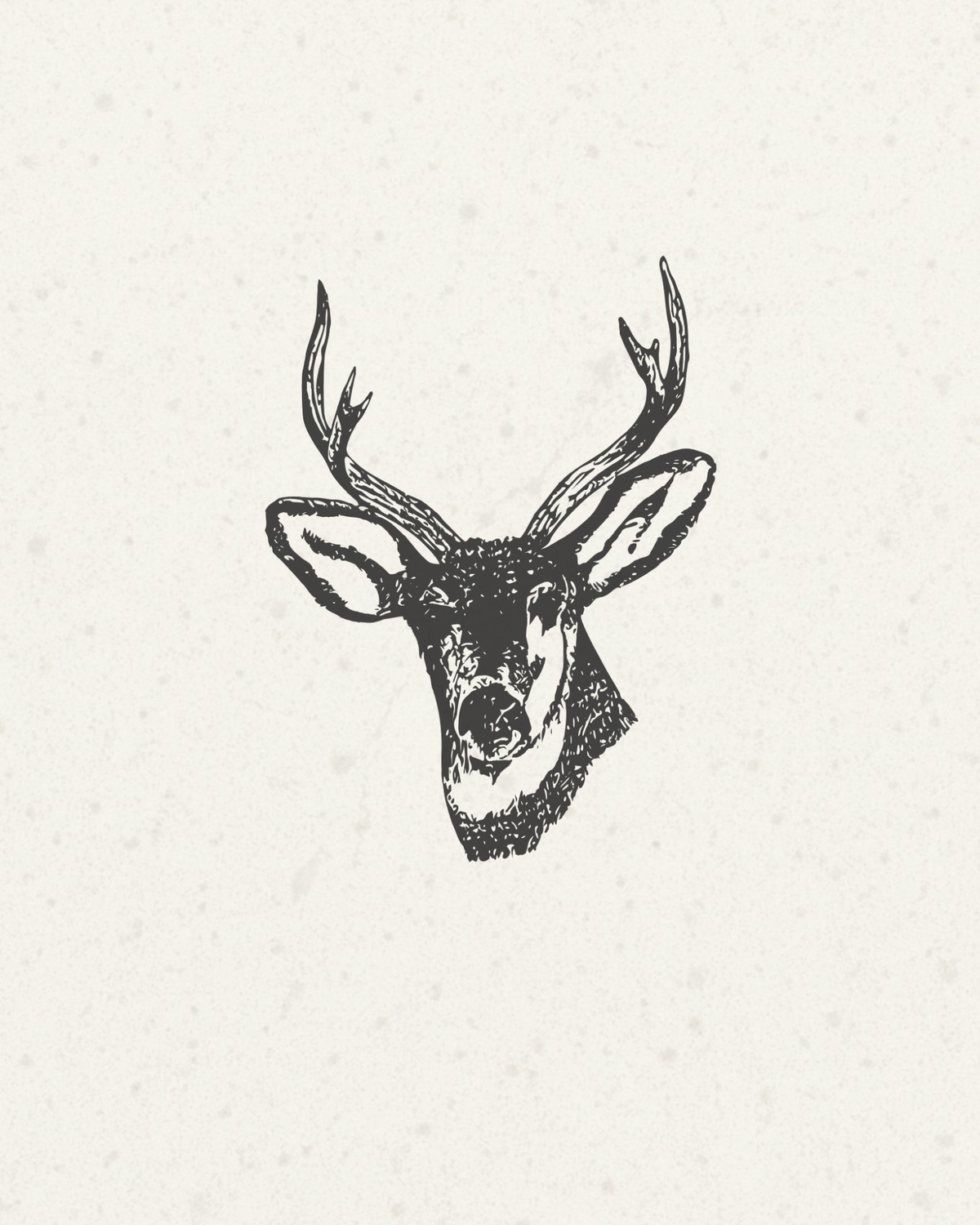 A black ink sketch of a deer head with antlers on a textured off-white background.