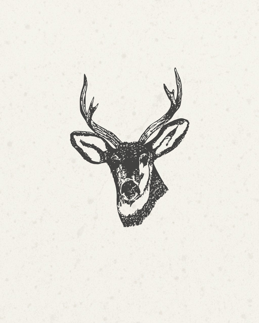 A black ink sketch of a deer head with antlers on a textured off-white background.