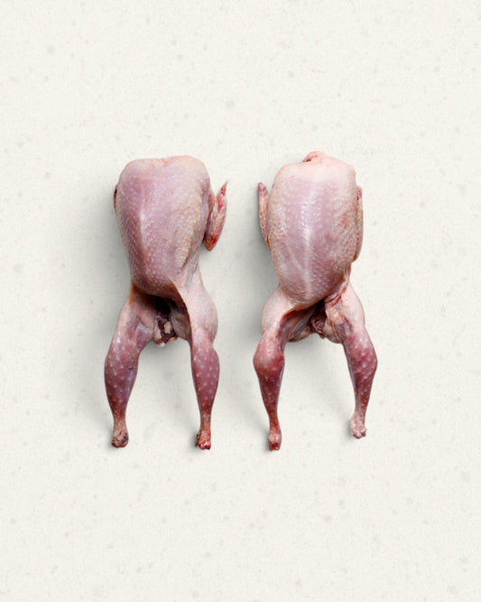 Quail
