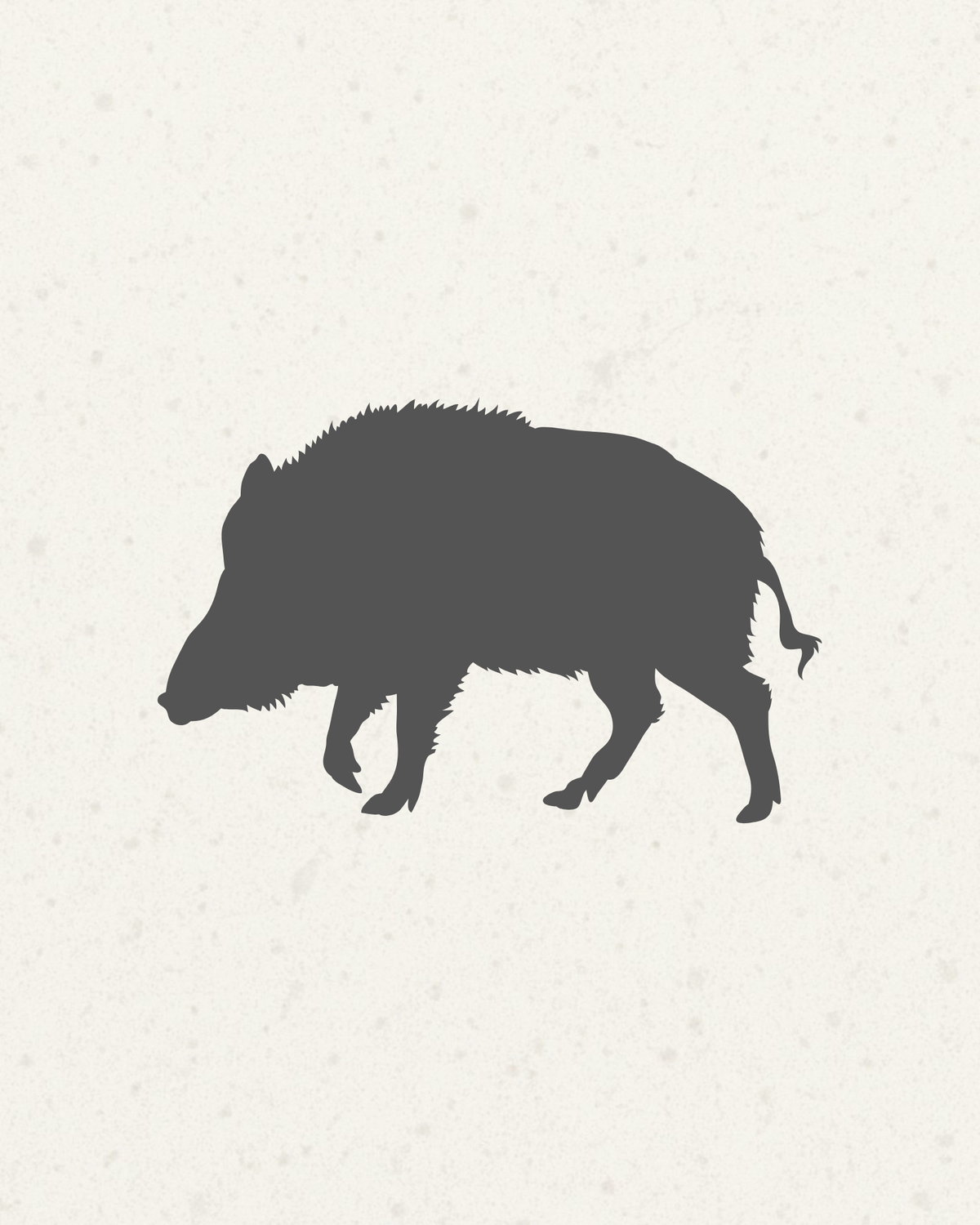 Frozen Wild Boar Shoulder Boneless