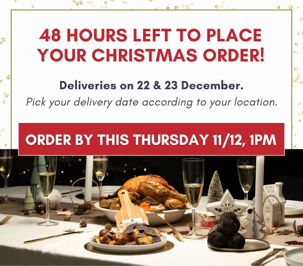 POP UP - 1025 x 900 (15).png