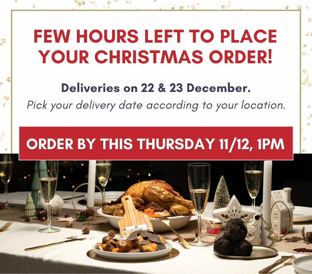 POP UP - 1025 x 900 (15).png