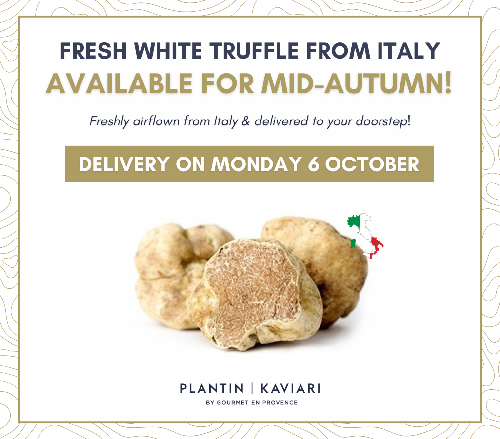 White Truffle