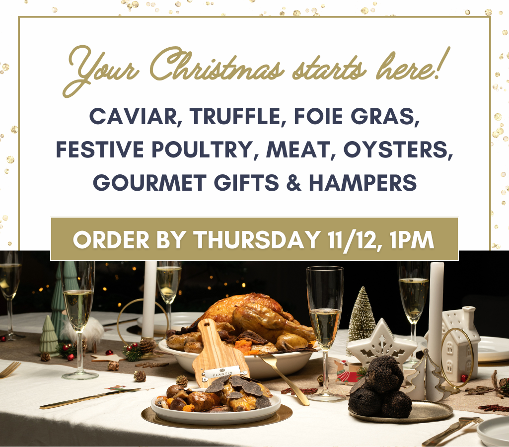 POP UP - 1025 x 900 (15).png